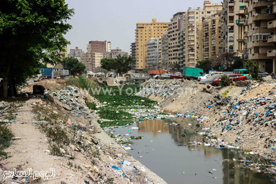   حشائش وورد النيل داخل المجرى المائى للترعة -اليوم السابع -6 -2015